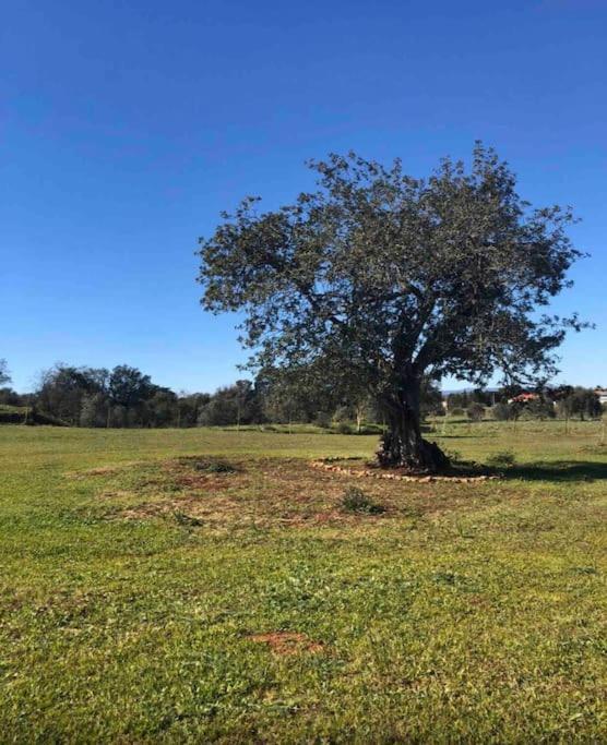 Quinta Chalet Alcantarilha Εξωτερικό φωτογραφία